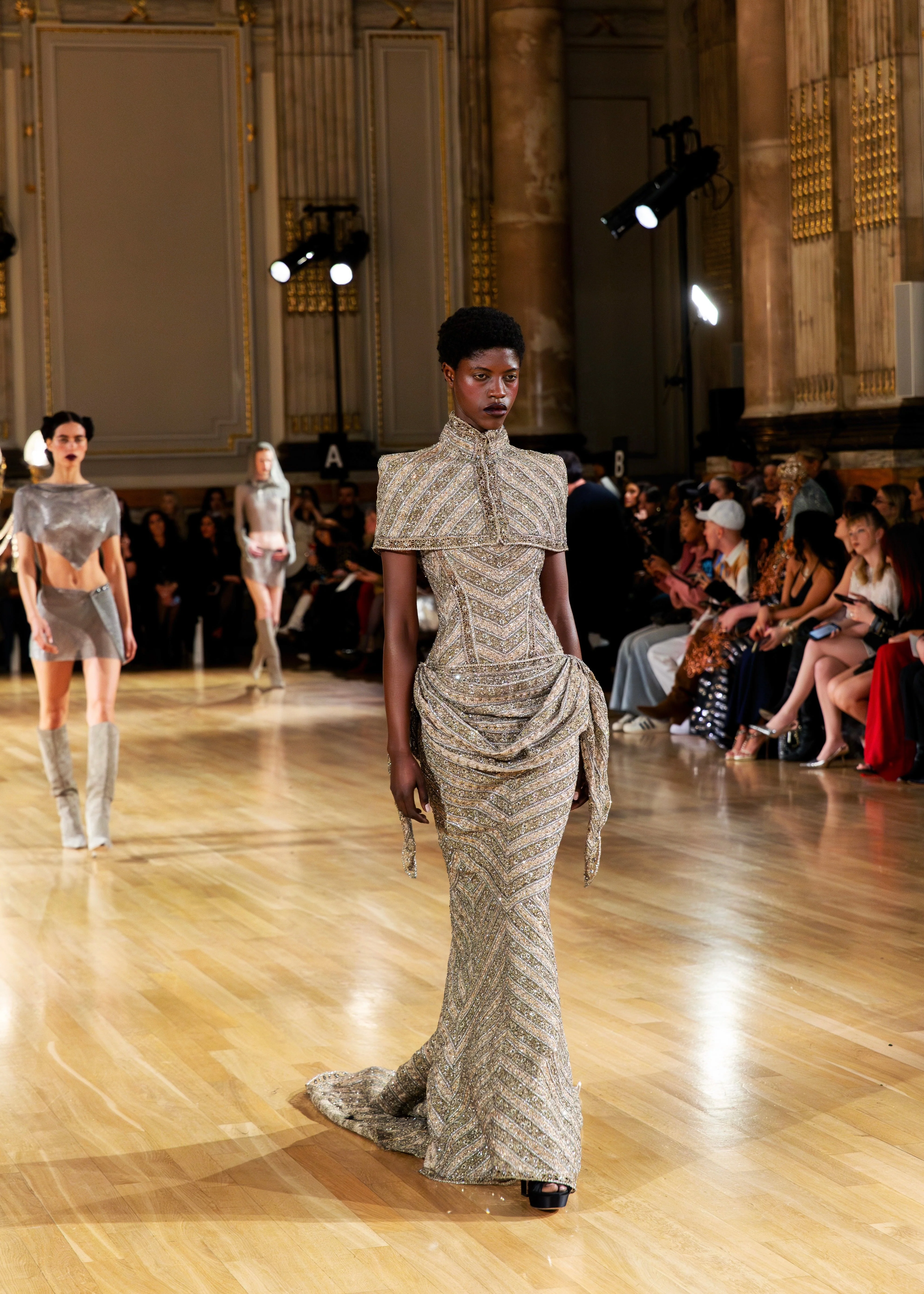 Celestius Gown - Image 3