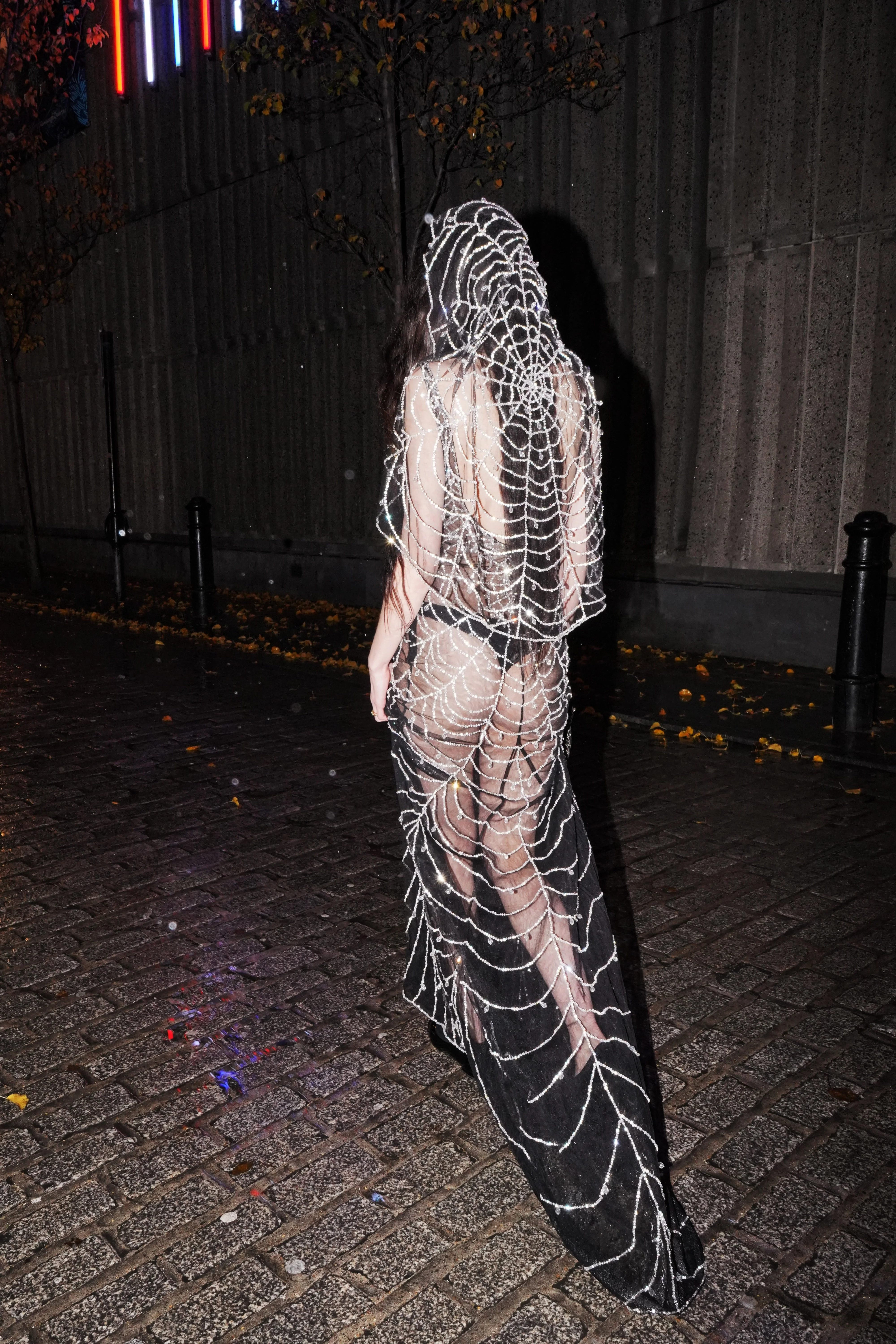 Cobweb Gown - Image 5