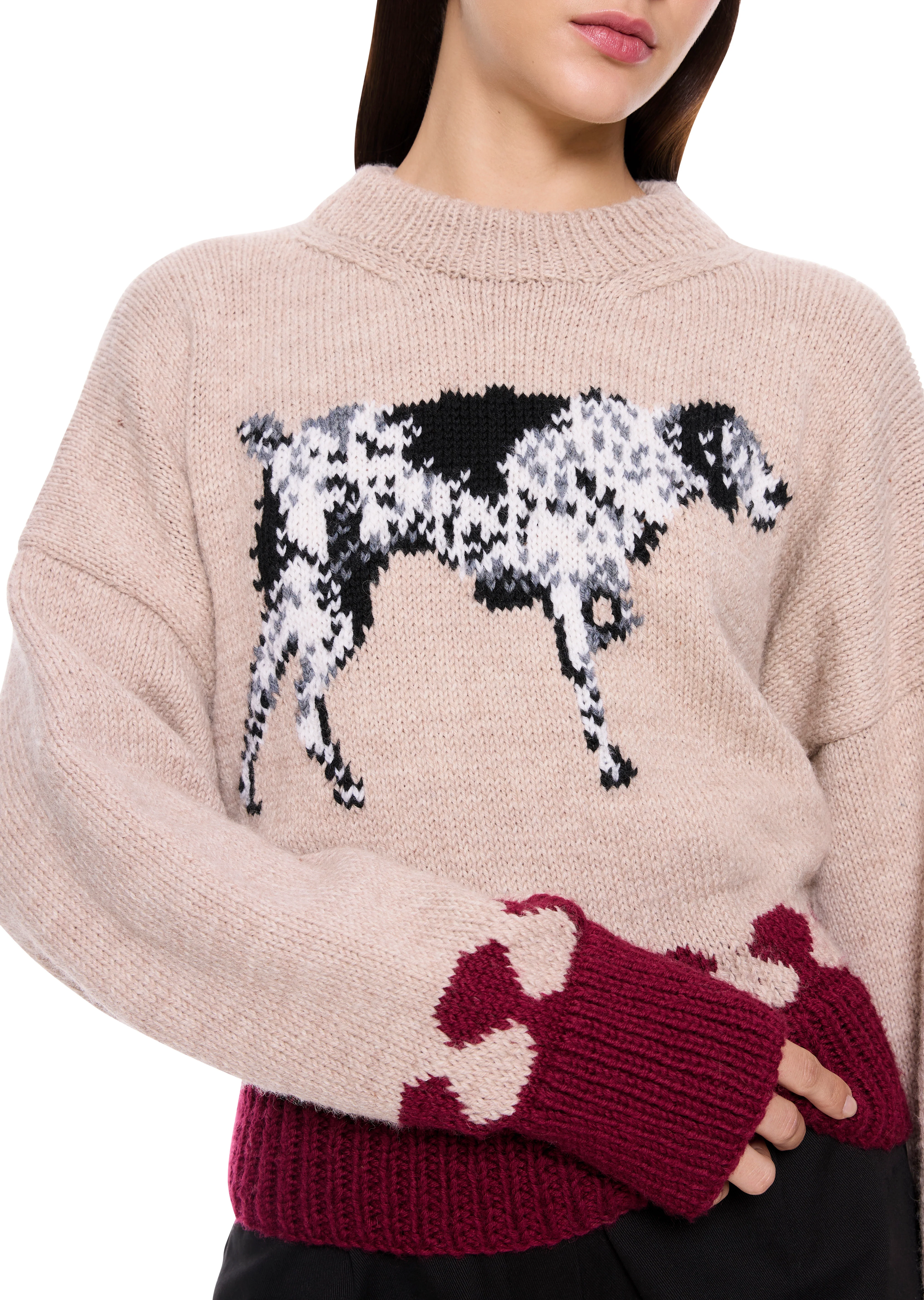 Dalmatian Jumper - Image 2