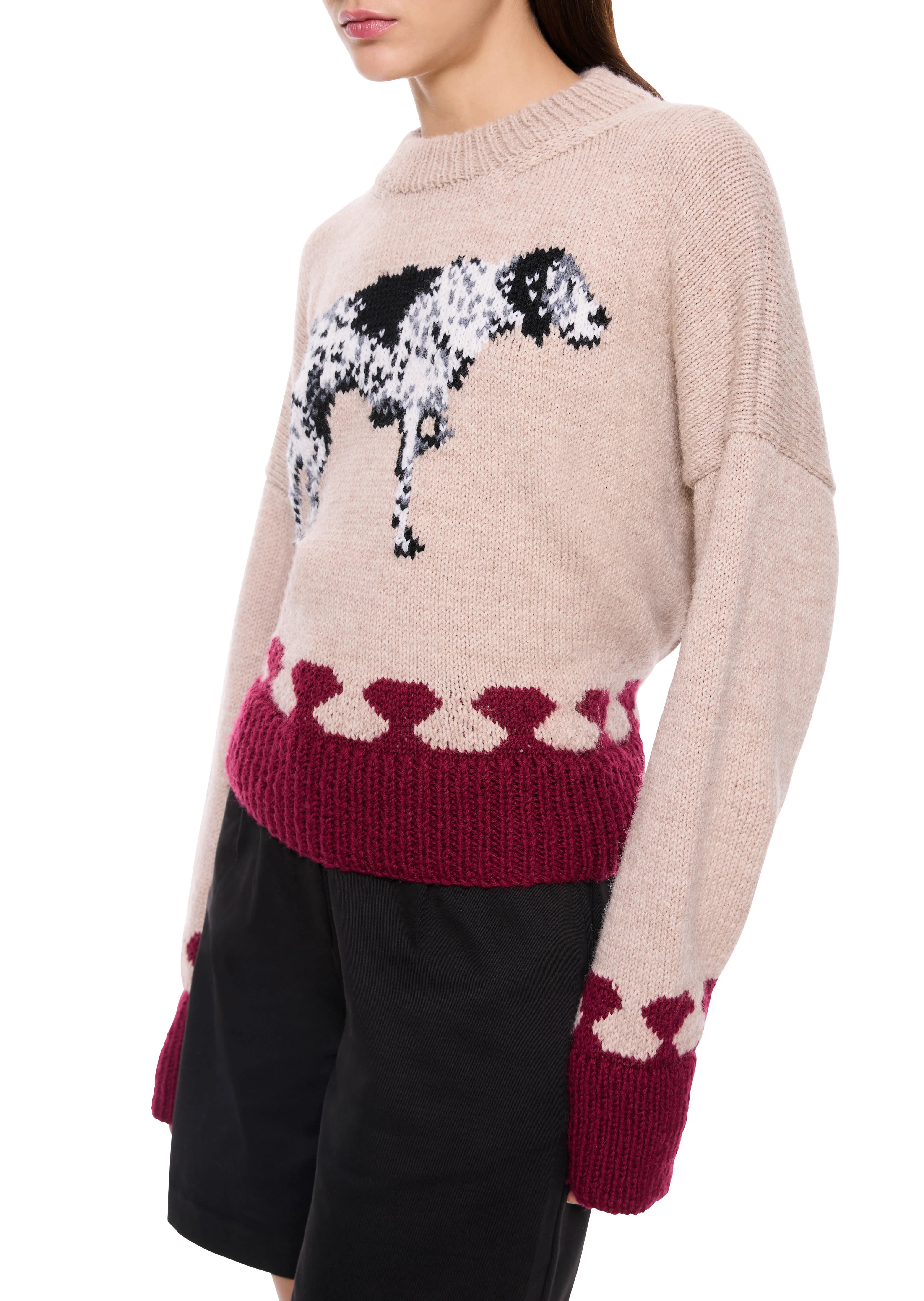 Dalmatian Jumper - Image 3