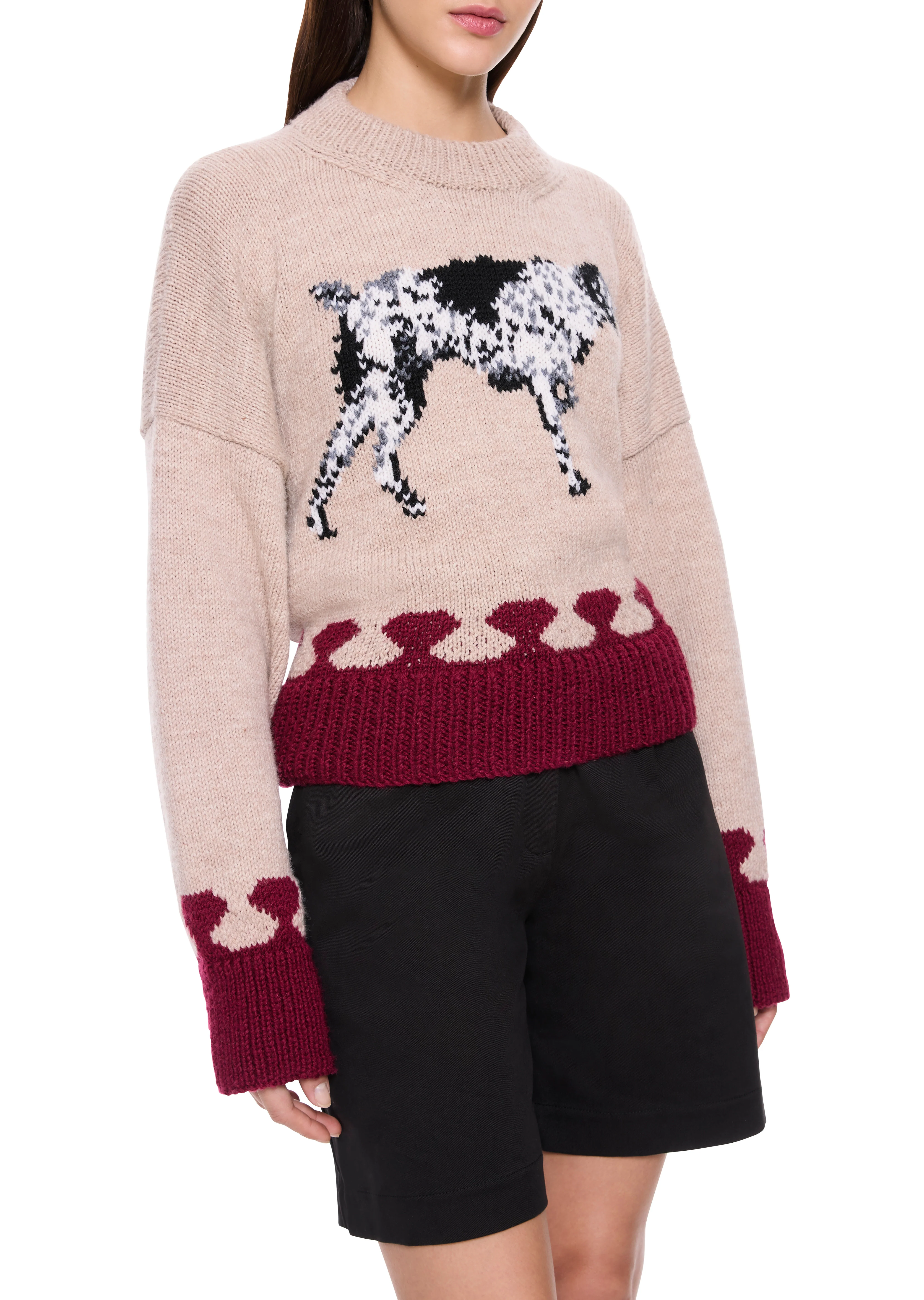 Dalmatian Jumper - Image 4
